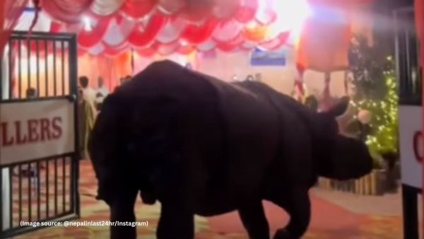 The incident happened in a village near the edge of Chitwan National Park (Image source: @nepalinlast24hr/Instagram)