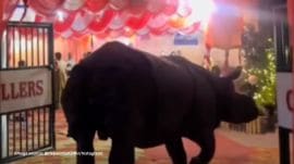 The incident happened in a village near the edge of Chitwan National Park (Image source: @nepalinlast24hr/Instagram)