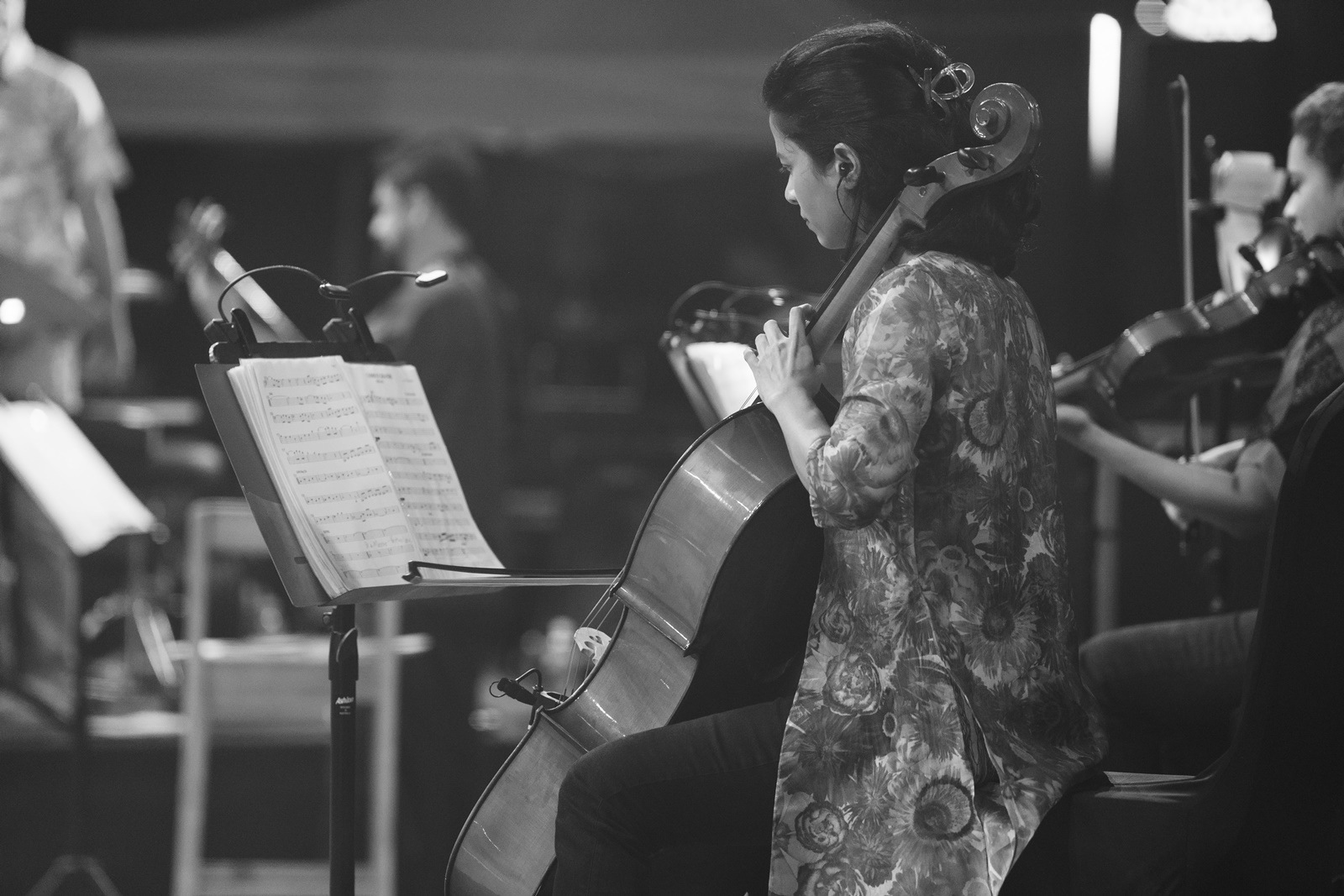 Serendipity arts festival