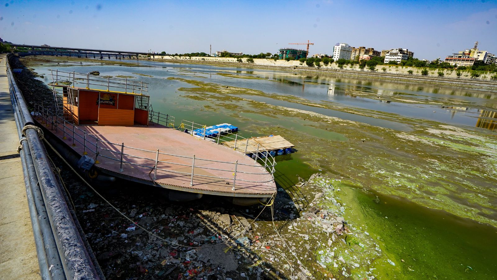At 21 metric tons, plastic constituted the largest portion of the huge garbage pile.
