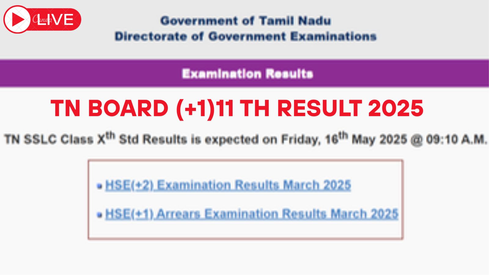 TN Board +1 11th Result 2025, Dge.tn.gov.in LIVE Updates: Alternative HSE +1 websites to check result today