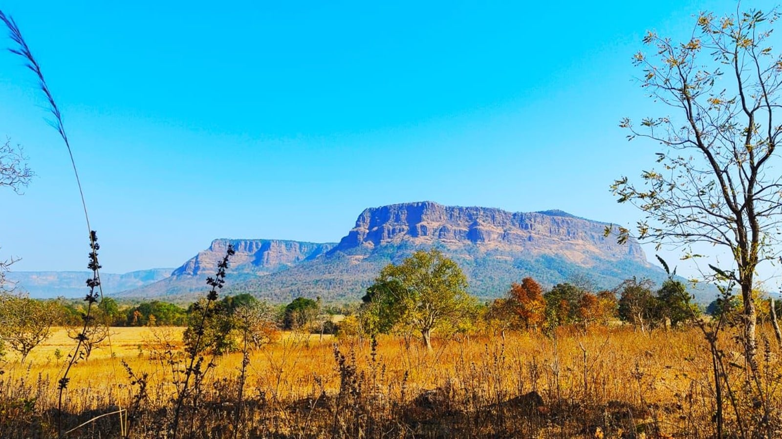 Operation targeting Maoist leadership in Chhattisgarh hills called off after 20 days