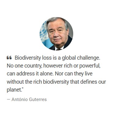 UN Secretary-General's message 2025 on International Biodiversity Day