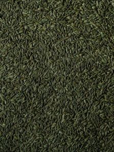 8 surprising health benefits of fennel seeds
