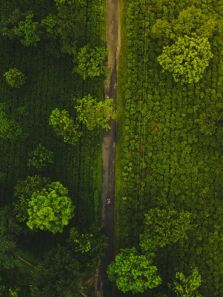 5 key facts about World Environment Day 2025