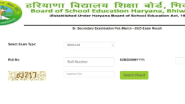 HBSE Haryana Board Class 10 Result 2025 Declared (Photo: Official website)