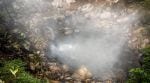 NASA research, volcano eruption, carbon dioxide effect on trees
