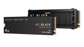 The Sandisk WD Black SN8100 is available in capacity of up to 8TB.