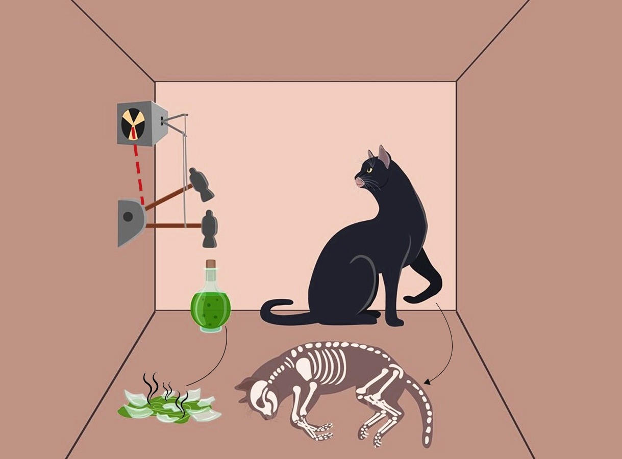 Inside the quantum box: Until observed, the cat is both alive and dead, a paradox that challenges how we understand reality.
