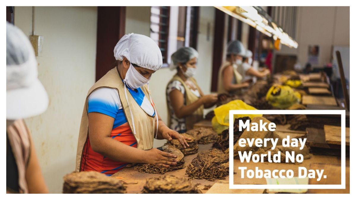 which country is the largest producer of tobacco Top 10 largest tobacco-producing countries: India ranks among top 3