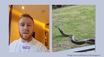 A tourist in Thailand finds king cobras just outside his ground-floor room (Image source@thailand_thb/ Instagram)