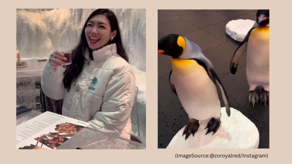 A ski resort in Dubai offers dinner with penguins. Image source: @zoroyalred/Instagram)