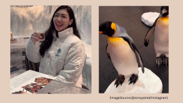 A ski resort in Dubai offers dinner with penguins. Image source: @zoroyalred/Instagram)