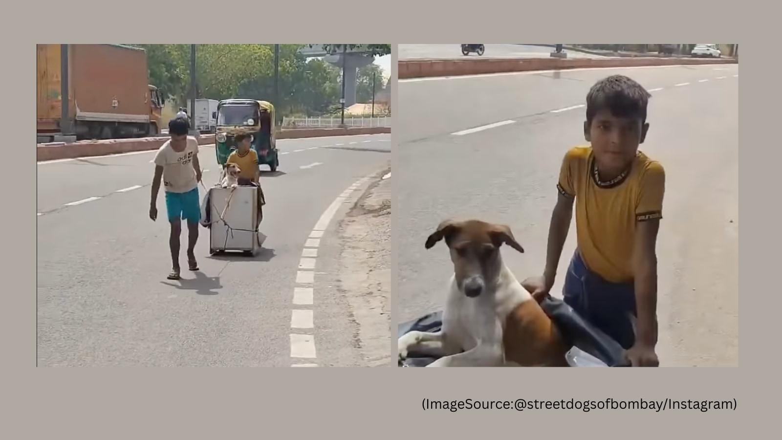 In Noida’s searing heat, 2 kids rush injured pet dog to hospital; video wins hearts online: ‘Compassion over convenience’ | Trending News