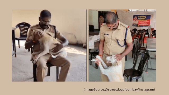 Loyal station dog Raju bids farewell to a firefighter in Kerala (Image Source: @streetdogsofbombay/ Instagram)