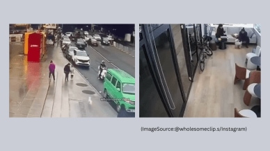 A dog gets reunited with its long-lost owner in a crowded city. (Image Source: @wholesomeclip.s/ Instagram)