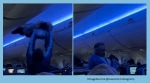 Pigeons board a flight on Delta Airlines from Minneapolis to Madison, Wisconsin. (Image Source: @cawtom/Instagram)