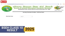 BSEH result 2025