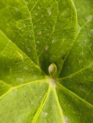 CMF Phone 2 Pro camera sample.