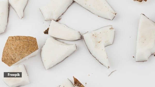 coconut