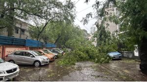 delhi-NCR rains