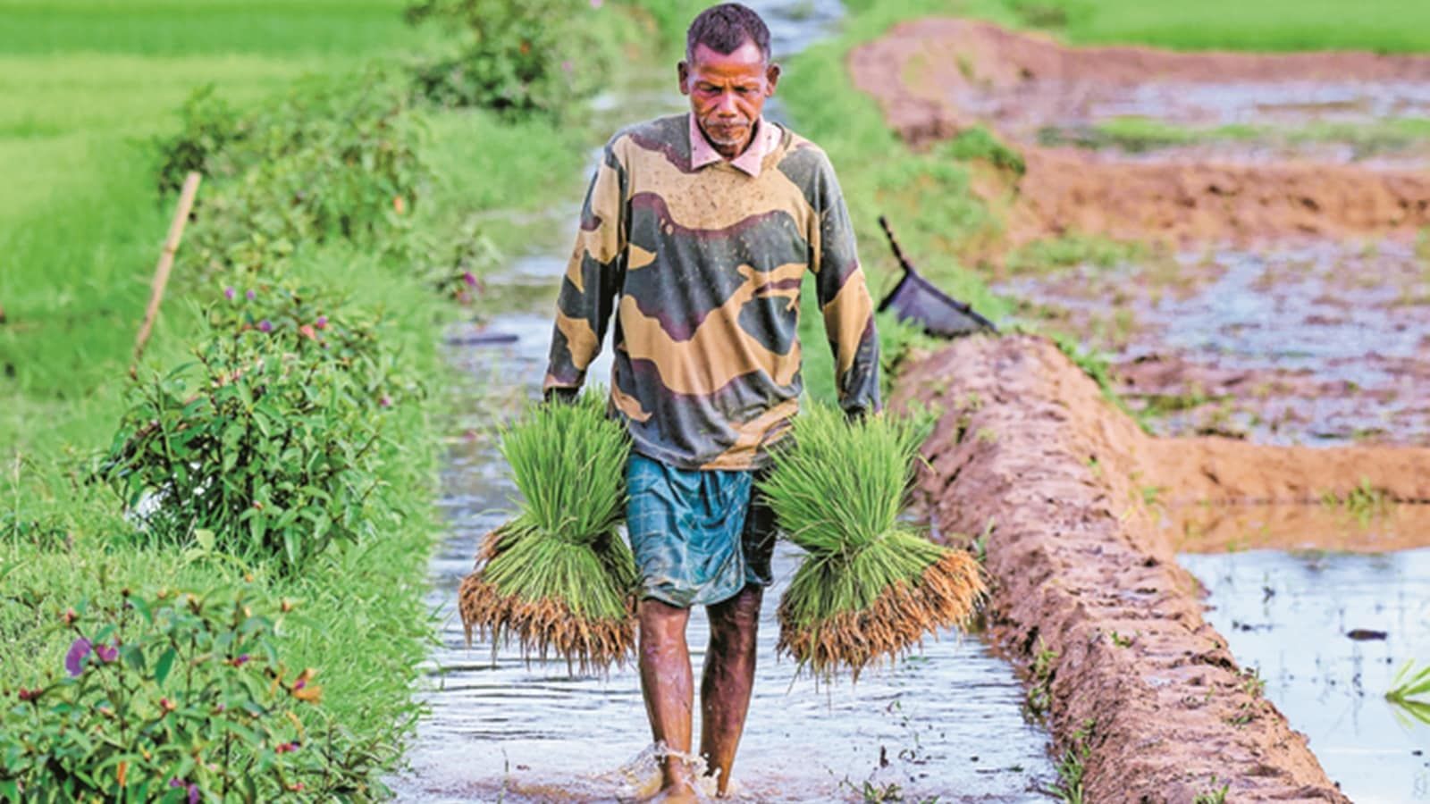 Maharashtra Loan Waiver: Up to Rs 2 Lakh Per Farmer, Incentives for Regular Repayers