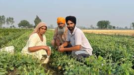 harpreet farmer