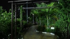 forest Civic officials said the average temperature recorded around the land parcel is 35-36 degrees, indicating a two-degree decline. (Express Photo)