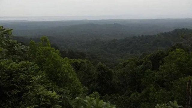 forest land, supreme court,