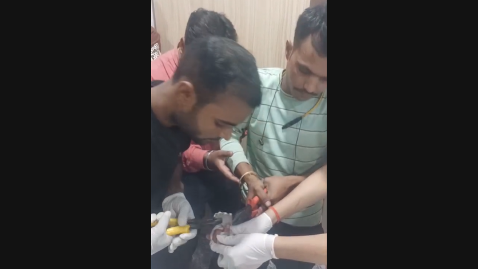 Hand Stuck In A 6-hour op, cutting through metal: How Noida firemen rescue child ...