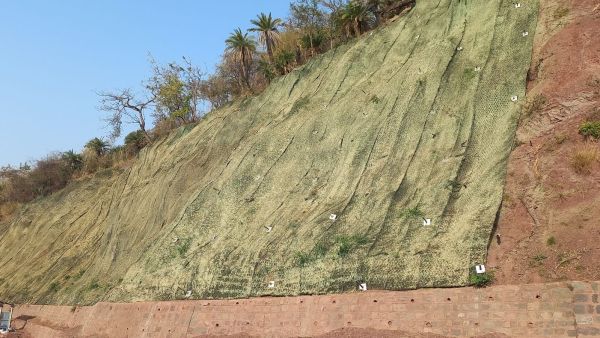 green mesh cover Kalka-Shimla highway