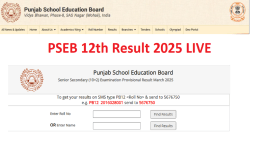 pseb result