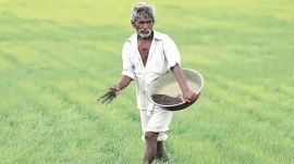 kharif sowing