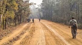 Chhattisgarh villages get electricity connection