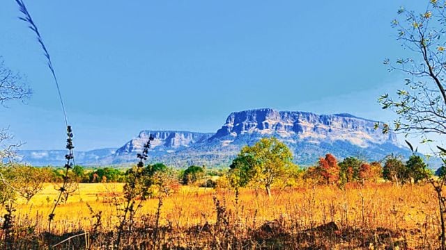Bijapur, Chhattisgarh, Chhattisgarh Maoists, Chhattisgarh Naxals, anti-Naxal ops, Chhattisgarh anti-Naxal ops, People's Liberation Guerrilla Army, Indian express news, current affairs