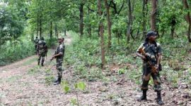 Aa team of security personnel led by Latehar Superintendent of Police (SP) Kumar Gaurav launched a search operation. (Representational)