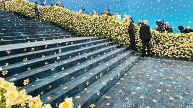 Met Gala red carpet