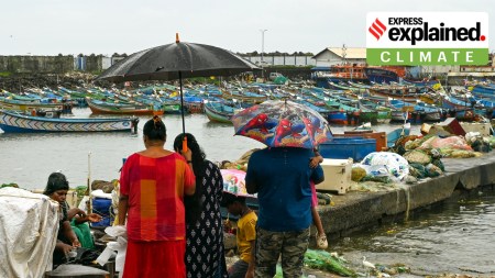 Visitors at Vizhinjam fishing harbour during rain, in Thiruvananthapuram, Saturday, May 24, 2025, as the southwest monsoon hit Kerala.