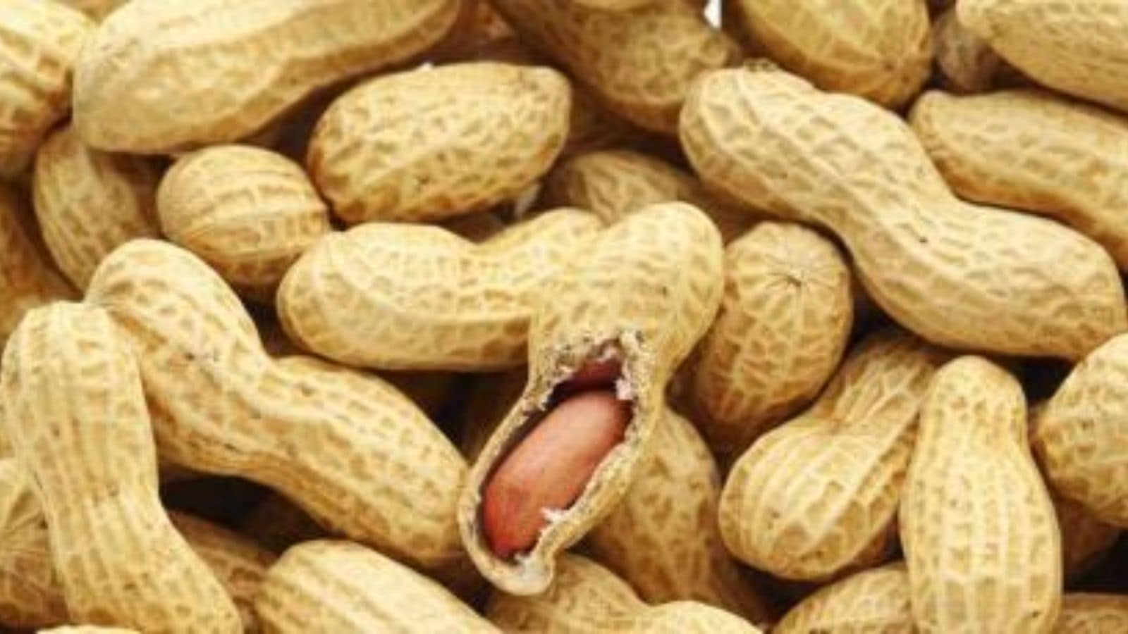Can peanut allergies in kids go down with diet change? What a new US study tells us