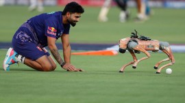 robo dog champak, delhi high court, IPL, indian express