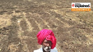 Why are bad debts rising in Maharashtra’s farm sector
