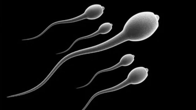 sperm donation - cancer