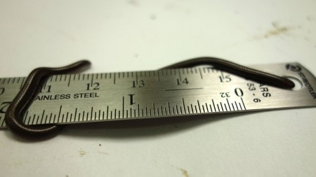 Get to know the Barbados threadsnake—the world's smallest snake