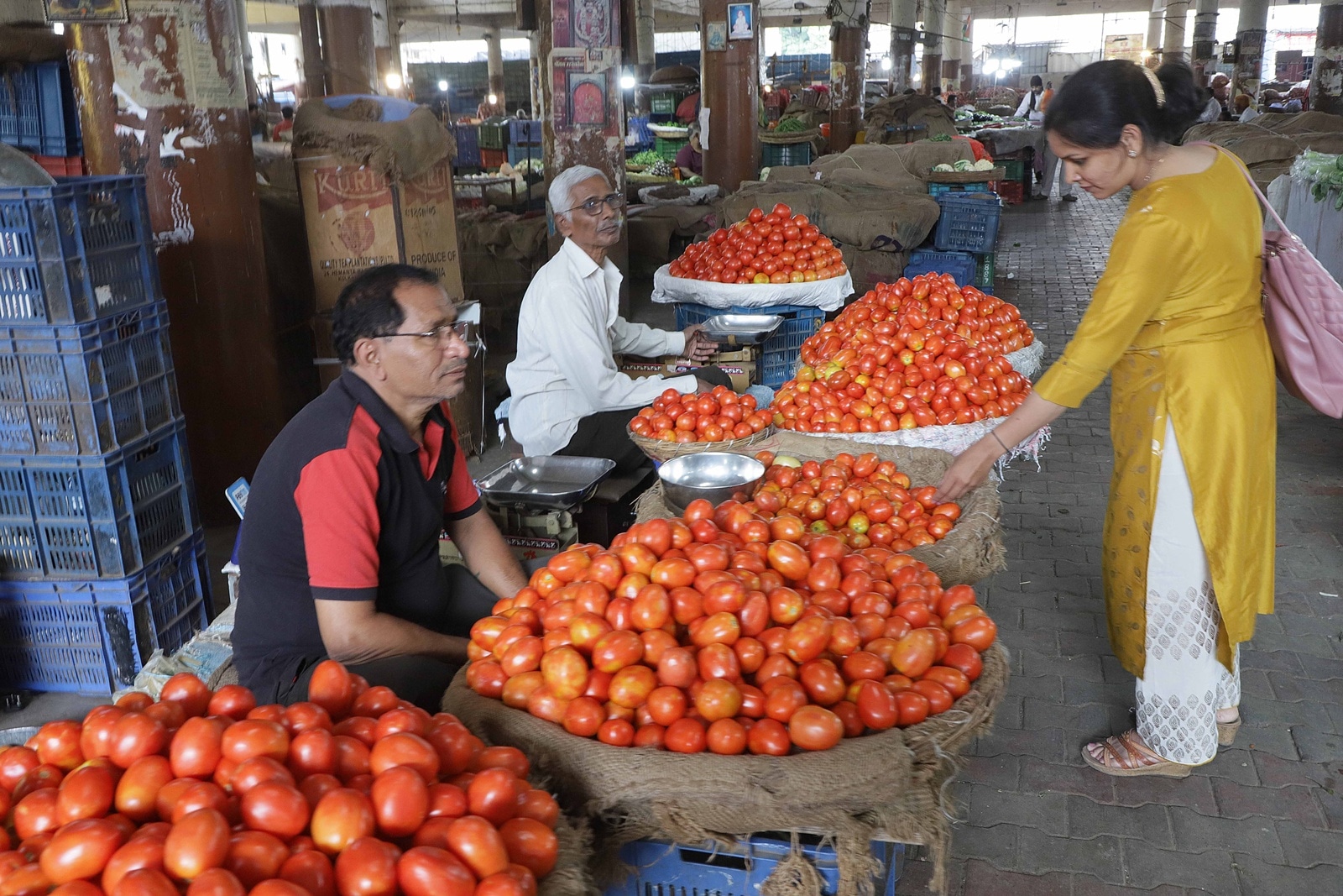 tomato price in pune