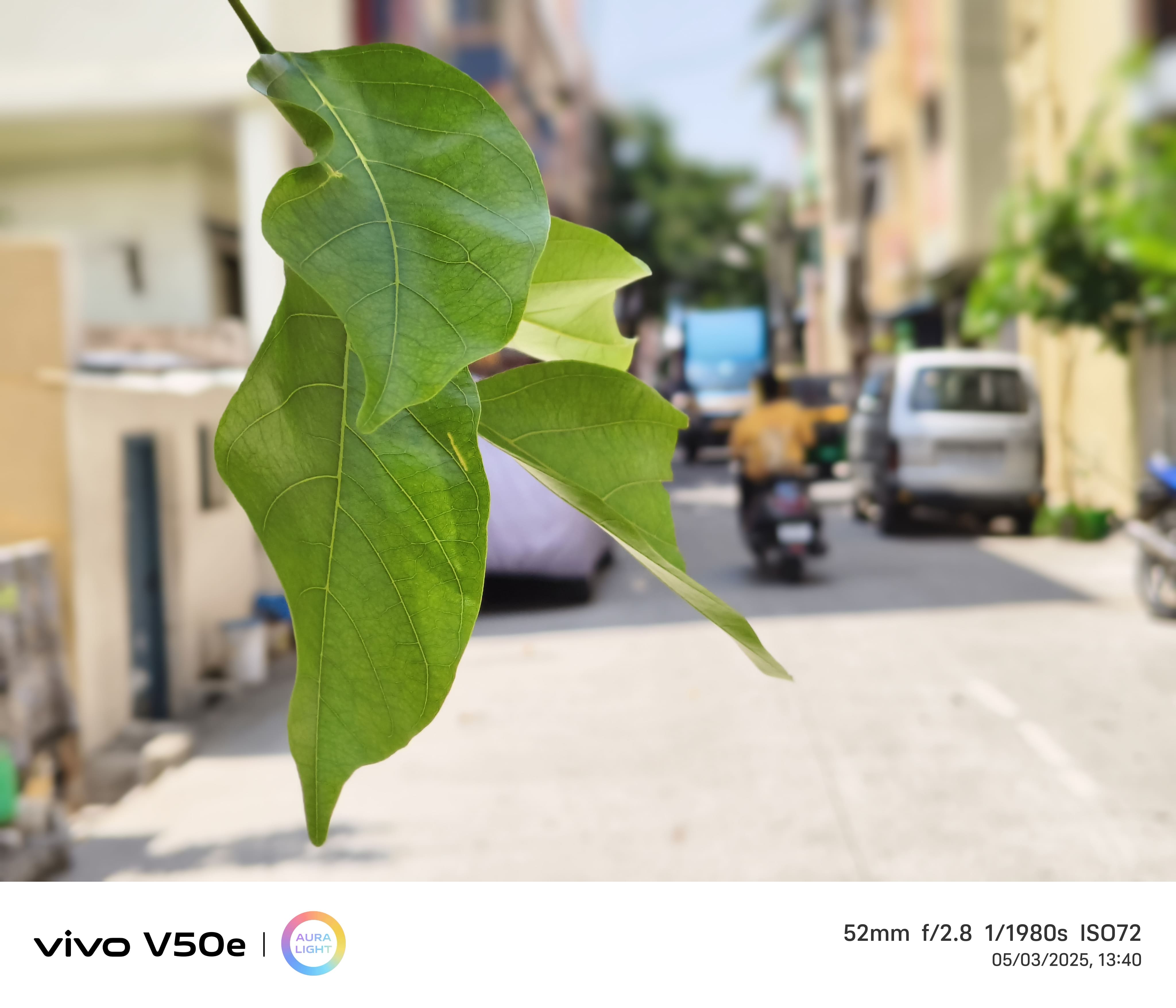 vivo V50e camera sample.