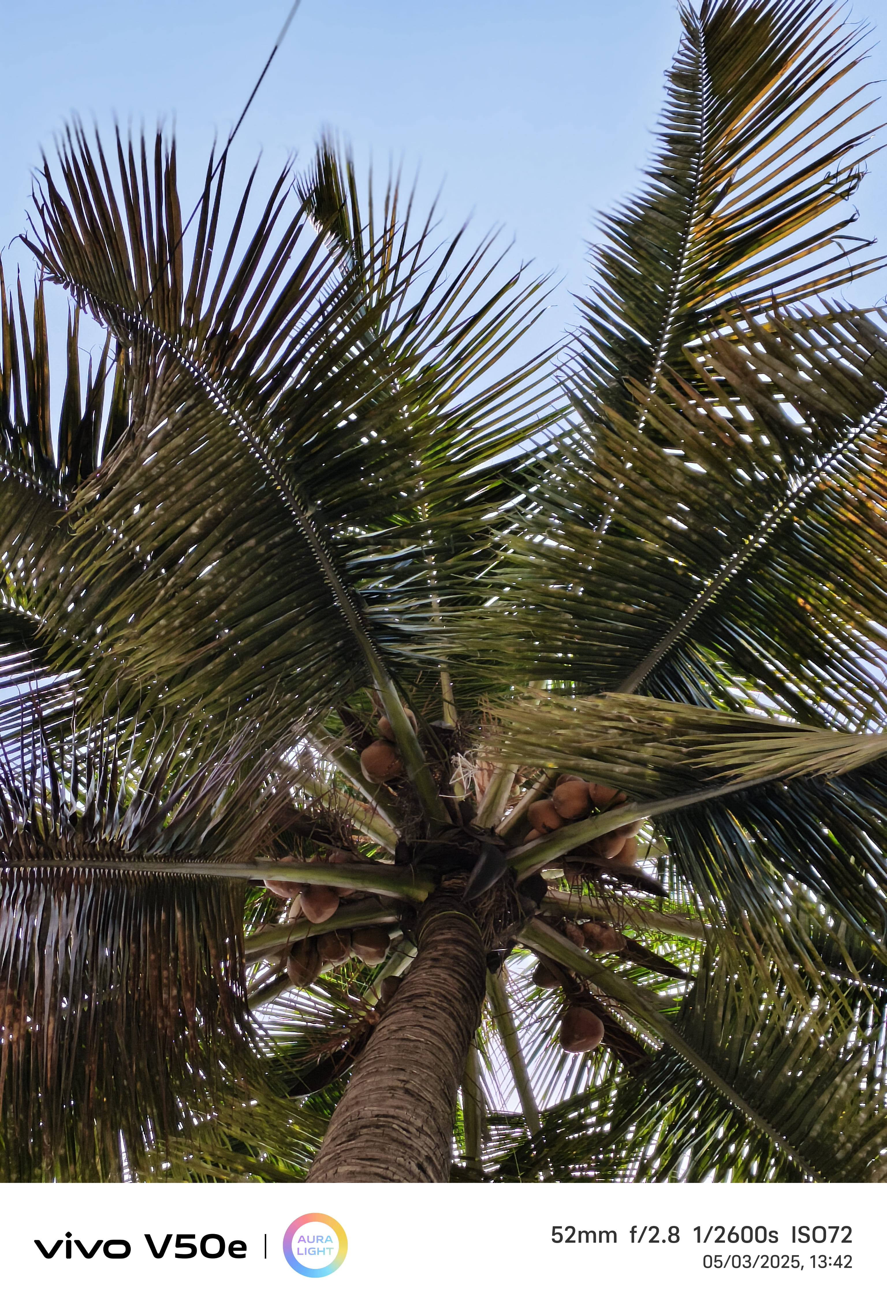vivo V50e camera sample.