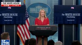 donald trump, tarrifs