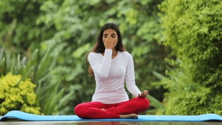 Nadi Shodhan Pranayama
