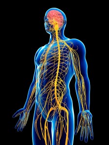 Simple hacks to regulate your nervous system