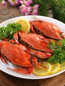 From Pav Bhaji to seafood feasts: The food that defines Mumbai